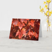 2767秋メープル葉誕生日カード カード (黄色い花)