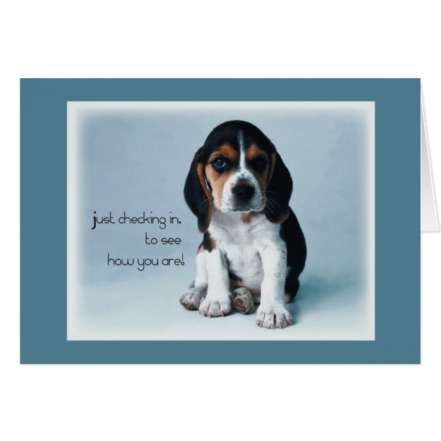 2769ワンちゃんチェックイン (正面横)