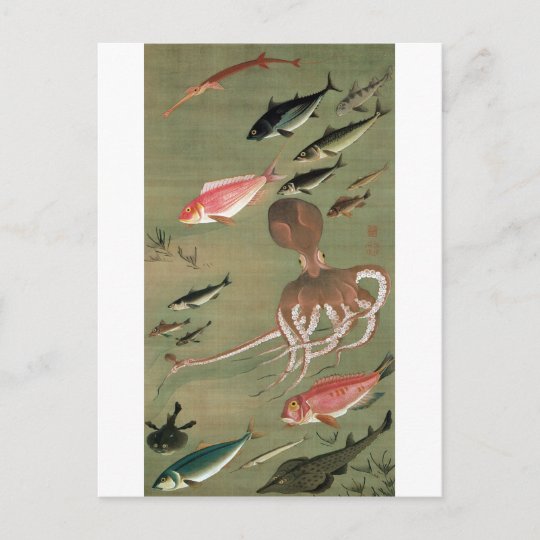 27 諸魚図 若冲のさまざまな魚 Jakuchuの日本芸術 ポストカード Zazzle Co Jp