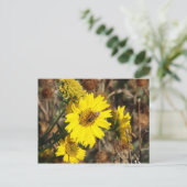 27.花と蜂 ポストカード (スタンド正面)