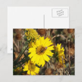 27.花と蜂 ポストカード (正面/裏面)