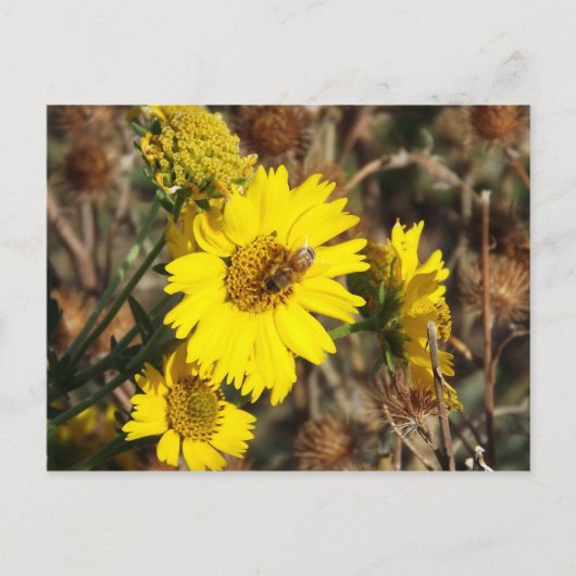 27.花と蜂 ポストカード (正面)