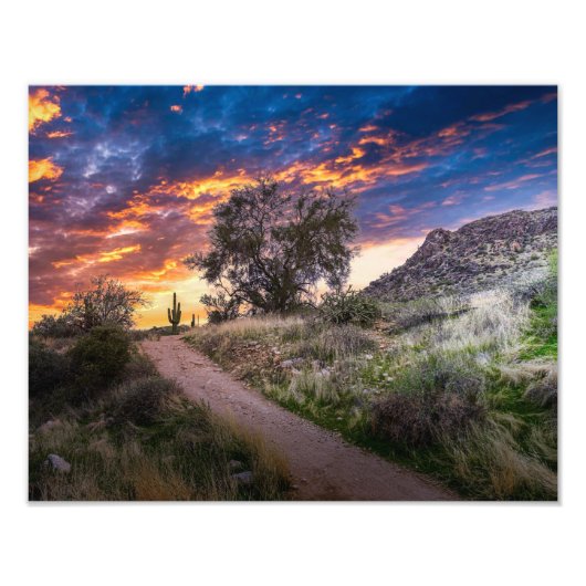 2815 – 砂漠の風景（日の入り） フォトプリント            (正面)