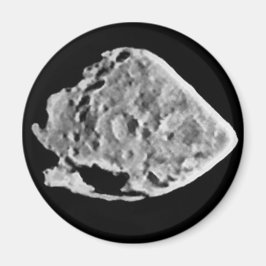 2867スタイン(1969 VC) マグネット