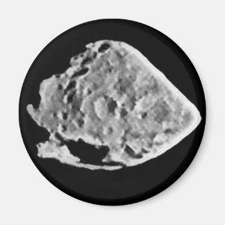 2867スタイン(1969 VC) マグネット