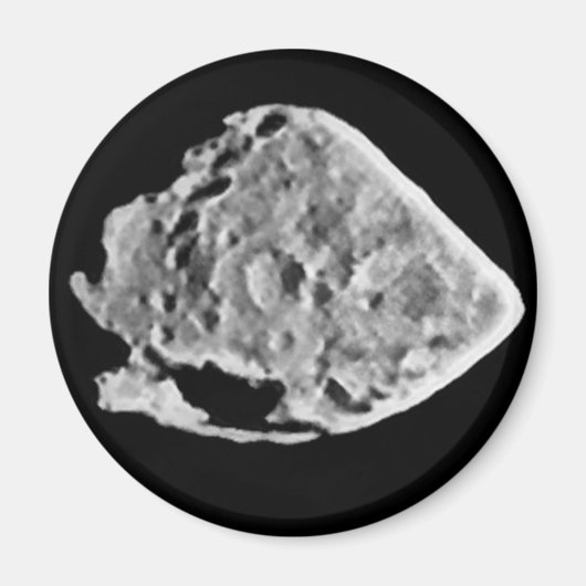 2867スタイン(1969 VC) マグネット (正面)