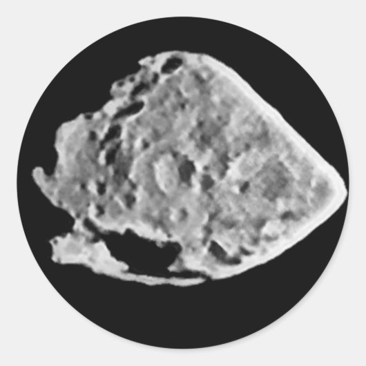 2867スタイン(1969 VC) ラウンドシール (正面)