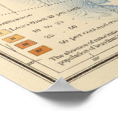 28 1890から1900に増加 ポスター (角)