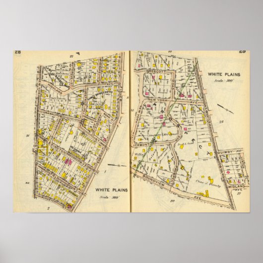 28-29白プレーンズ ポスター (正面)