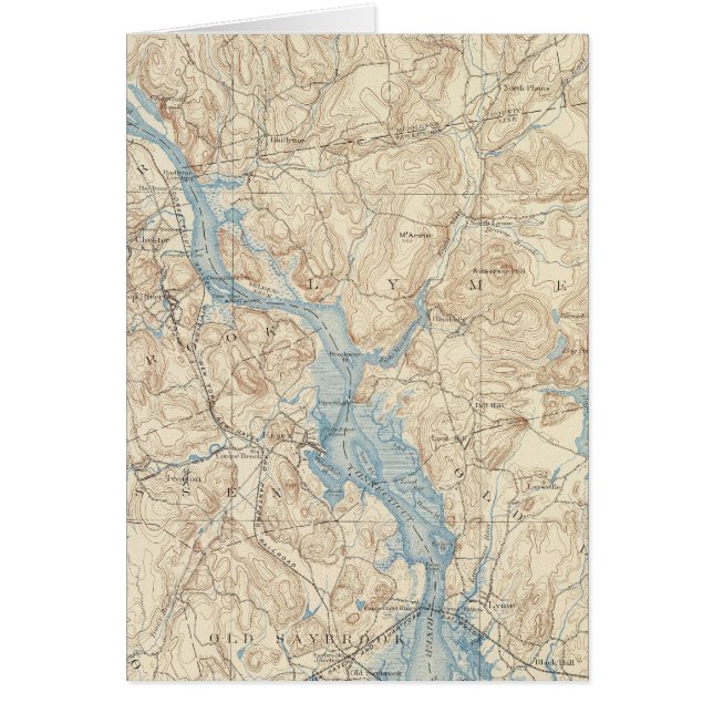 28 Saybrookシート (正面)