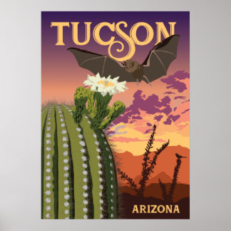 28"x20" Bat and Saguaro - Tucson, Arizona ポスター