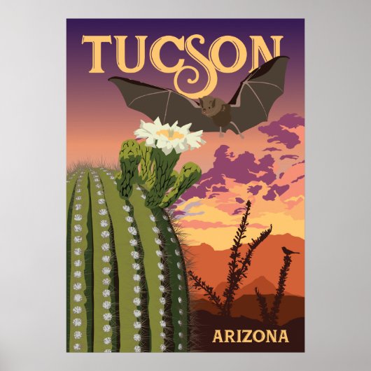 28"x20" Bat and Saguaro - Tucson, Arizona ポスター (正面)