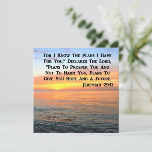 29インスパイア:11日の出 招待状 (スタンド正面)