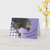 29再度 カード (黄色い花)