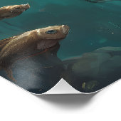 29番の魚の鉢の中の生活 ポスター (コーナー)