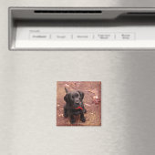 29週ブラックラボ マグネット (インサイチュ (食洗機))