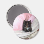 29154_Mufin-the-Cat_620 マグネット (正面/裏面)