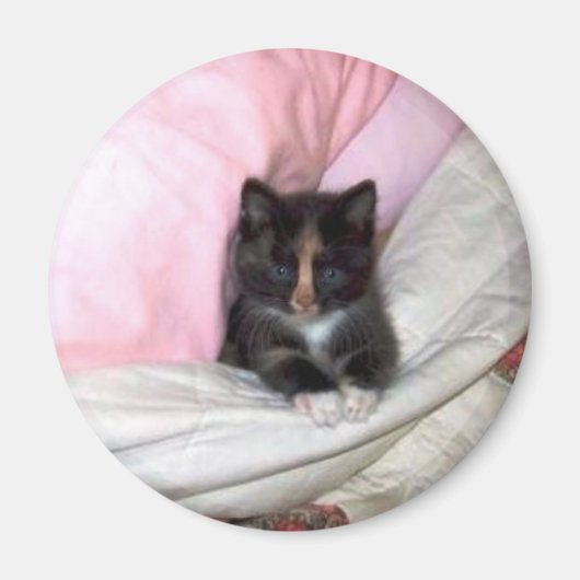 29154_Mufin-the-Cat_620 マグネット (正面)