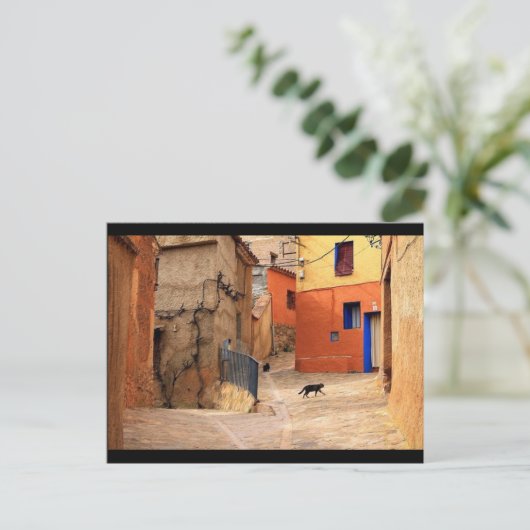 299.猫の通り ポストカード (スタンド正面)