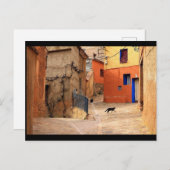 299.猫の通り  ポストカード (正面/裏面)