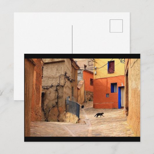 299.猫の通り ポストカード (正面/裏面)