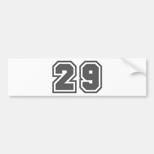 29 バンパーステッカー (正面)