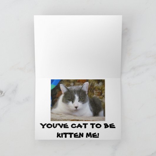 29?猫が私を子猫に カード (内部)