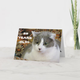29?猫が私を子猫に カード