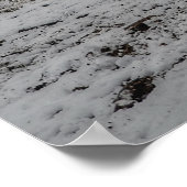 2 フレンドリー Ranch Horses, Dun, Palomino写真絵を描2 ポスター (角)