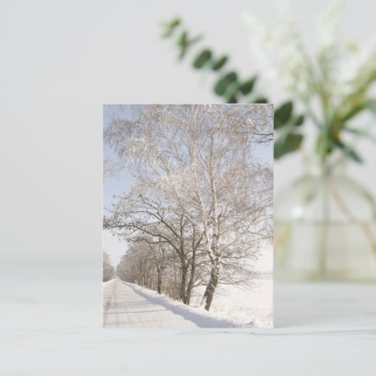 2 ポストカード (スタンド正面)