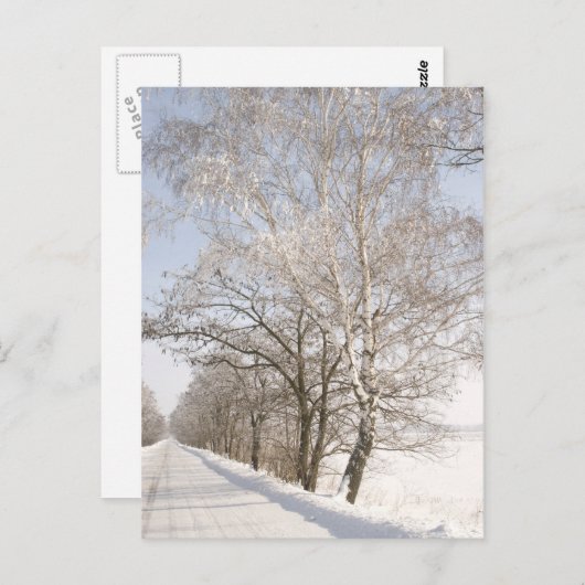 2 ポストカード (正面/裏面)