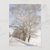 2 ポストカード (正面)