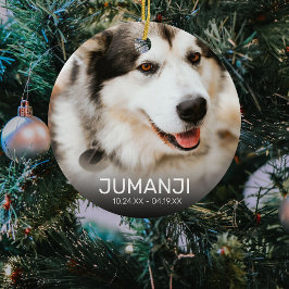 2 枚の写真 ペット追悼 | クリスマス 記念品 セラミックオーナメント