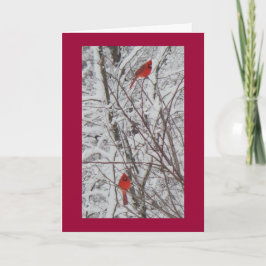 2 (鳥)ショウジョウコウカンチョウの赤いボーダー5x7クリスマスカード シーズンカード