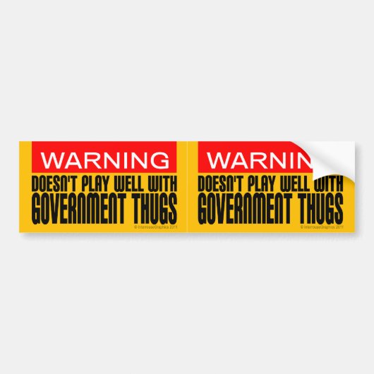 2 1政府の刺客とよく遊びません バンパーステッカー (正面)