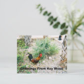 2-12-2007 (2)-07、鍵西からのご挨拶！ ポストカード (スタンド正面)