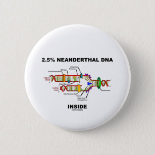2.5%ネアンデルタール人のDNA内部（DNA複製） 缶バッジ