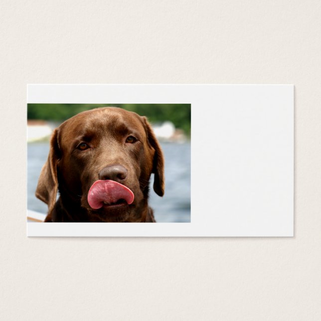 2 Chocolate_Lab.png (正面)