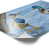 2 Ducks in A Conversation_0185_n400_tele フォトプリント (角)