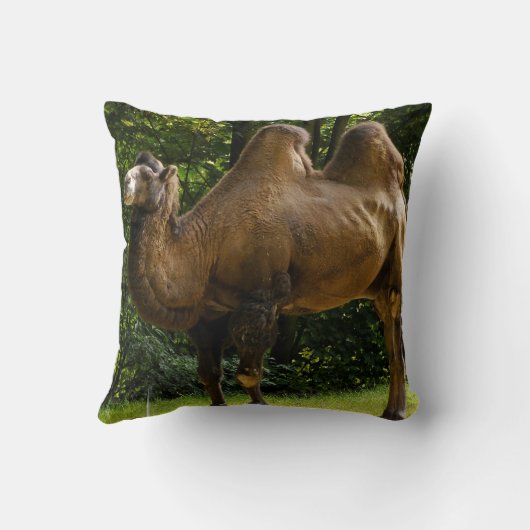 2 Humpedのラクダの枕 クッション (裏面)