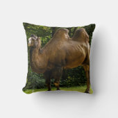 2 Humpedのラクダの枕 クッション (正面)