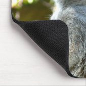 2 Meerkats マウスパッド (コーナー)