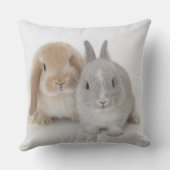 2 Netherlandの小びとおよびオランダLOPのバニー クッション (裏面)