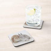 2 Netherlandの小びとおよびオランダLOPのバニー コースター (右側)