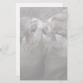2 Otters Wildlifeキスをする写真 便箋 (正面/裏面)