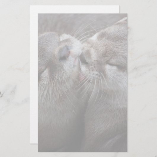2 Otters Wildlifeキスをする写真 便箋 (正面/裏面)