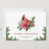 2 PHOTO Poinsettia赤い(鳥)ショウジョウコウカンチョウクリスマスグリーティング シーズンカード (正面)