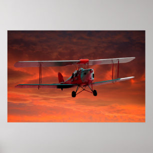 2 seater Tigermoth ポスター