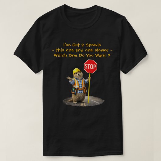 "2 Speeds" (2) Tシャツ (デザイン正面)