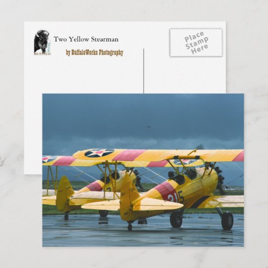 2 Stearmanはがき ポストカード (正面/裏面)